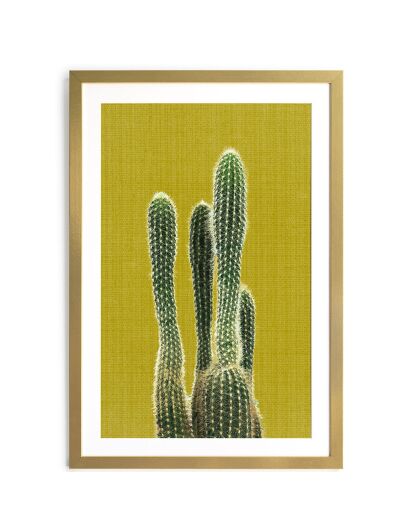 Cadre Cactus doré - 60x40 cm